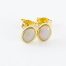 Light Opal Earrings SE467