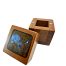 Australian Opal and Timber Box S160